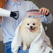 Veterinary