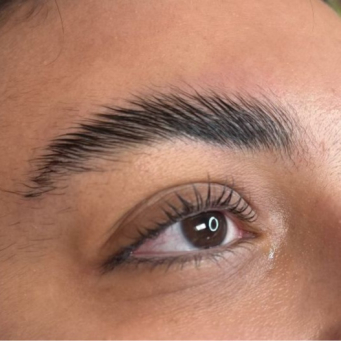 Eyebrow, eyelash & lip