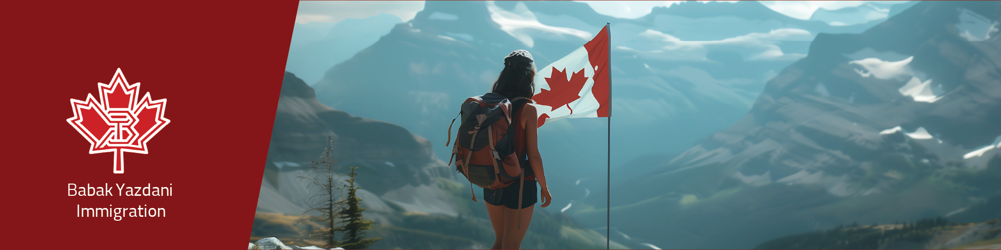 Babak Yazdani Immigration