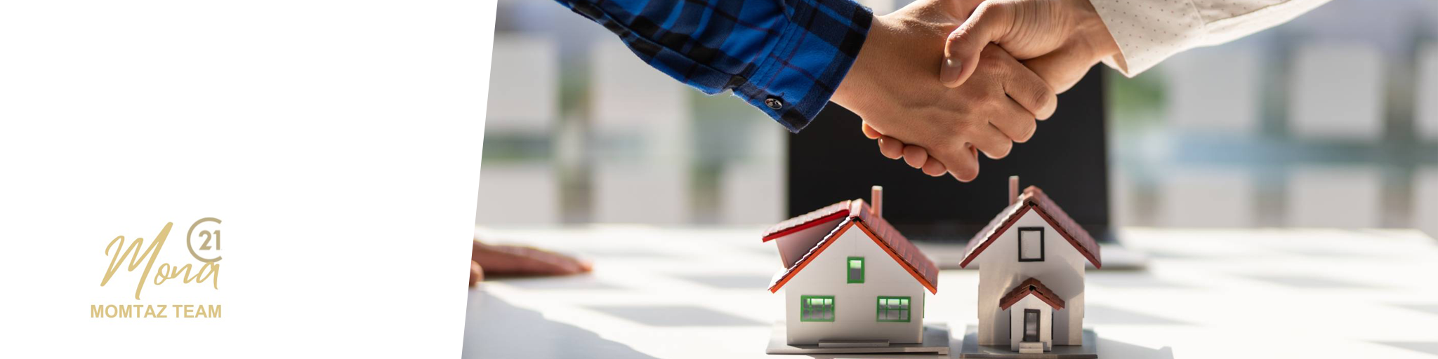 Mona Momtaz (Realtor)