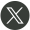 X Icon