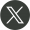 X Icon